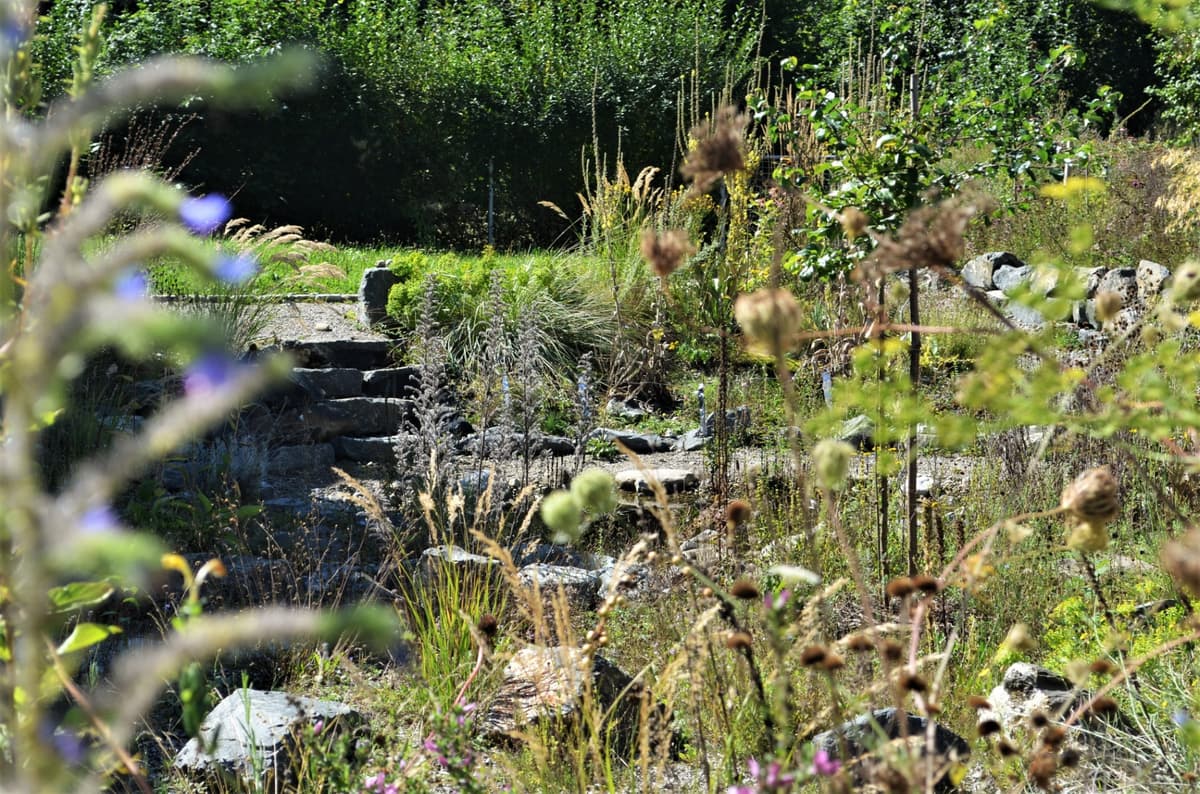 Naturnahe Gartengestaltung im Allgäu