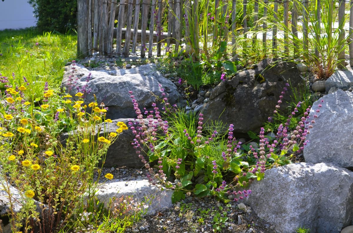 Natur- und Landschaftsgarten