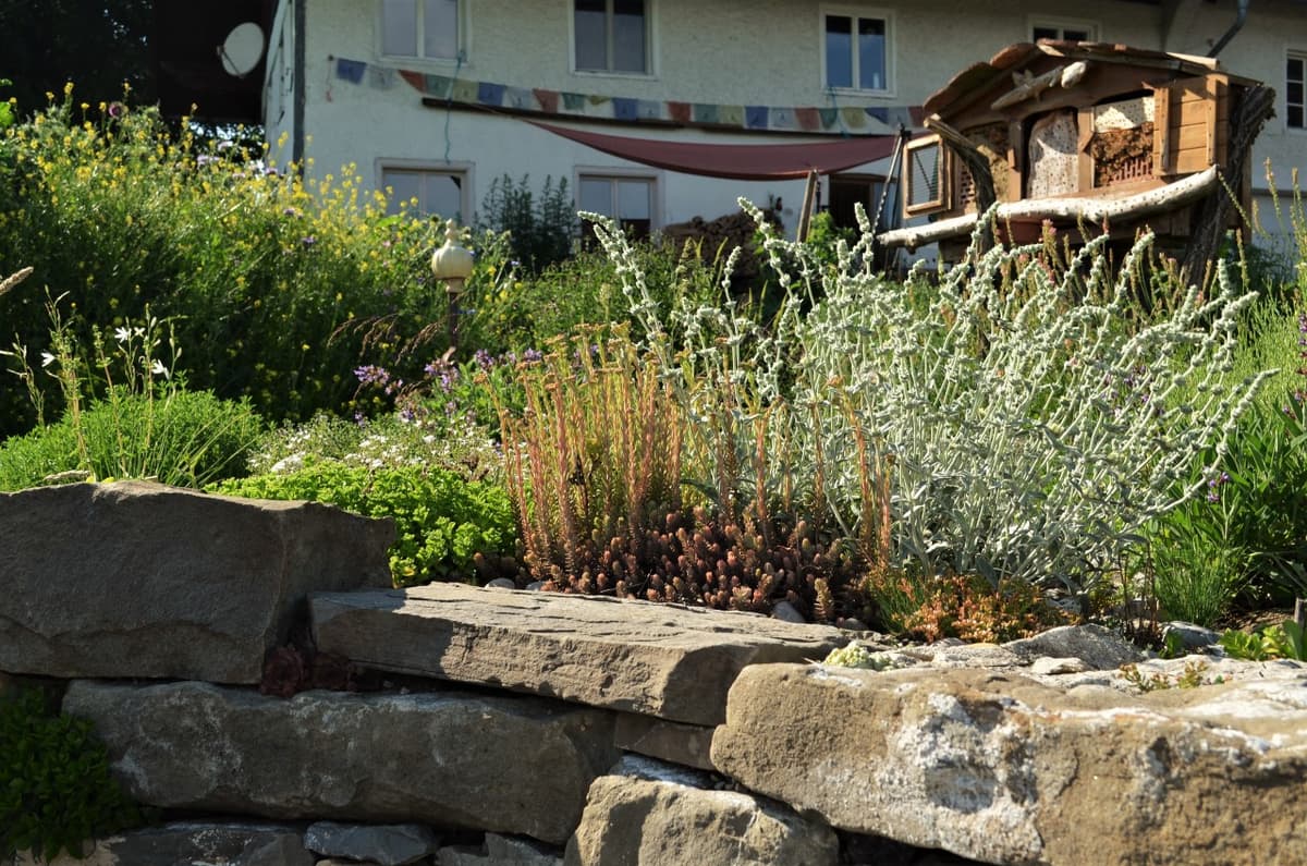 Permakultur-Selbstversorger Garten - Bild 10