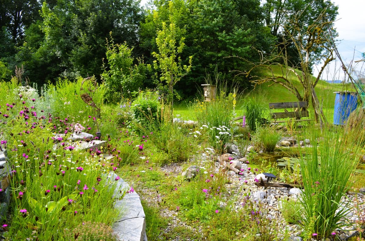 Selbstversorger-Naturgarten - Bild 10