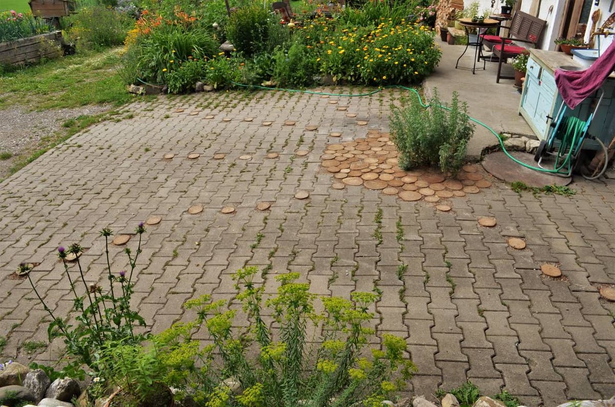 Permakultur-Selbstversorger Garten - Bild 13
