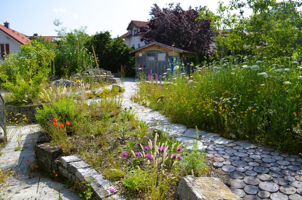 Natur- und Landschaftsgarten - Bild 15
