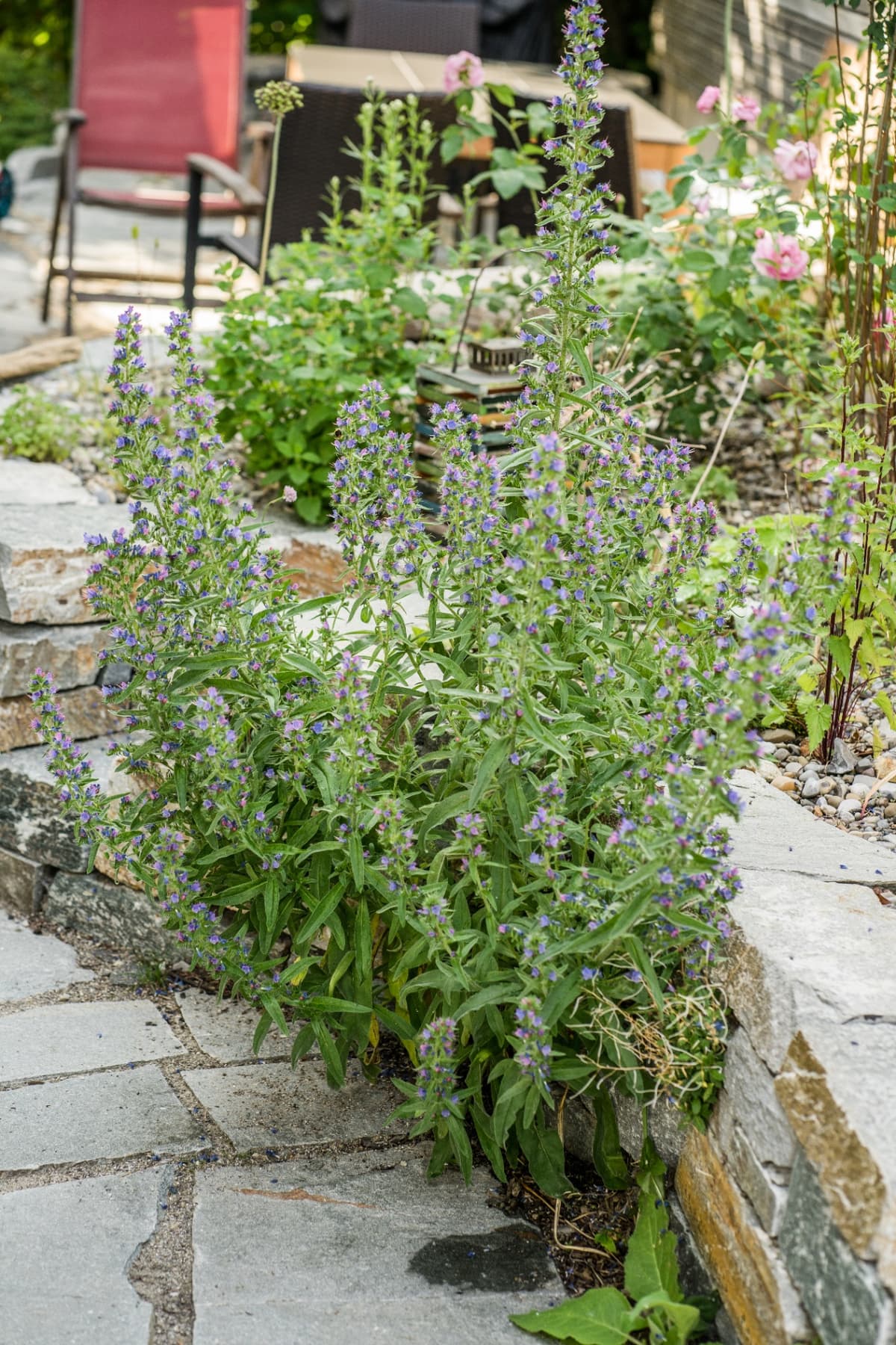 Wohlfühl-Garten auf kleinem Raum - Bild 15