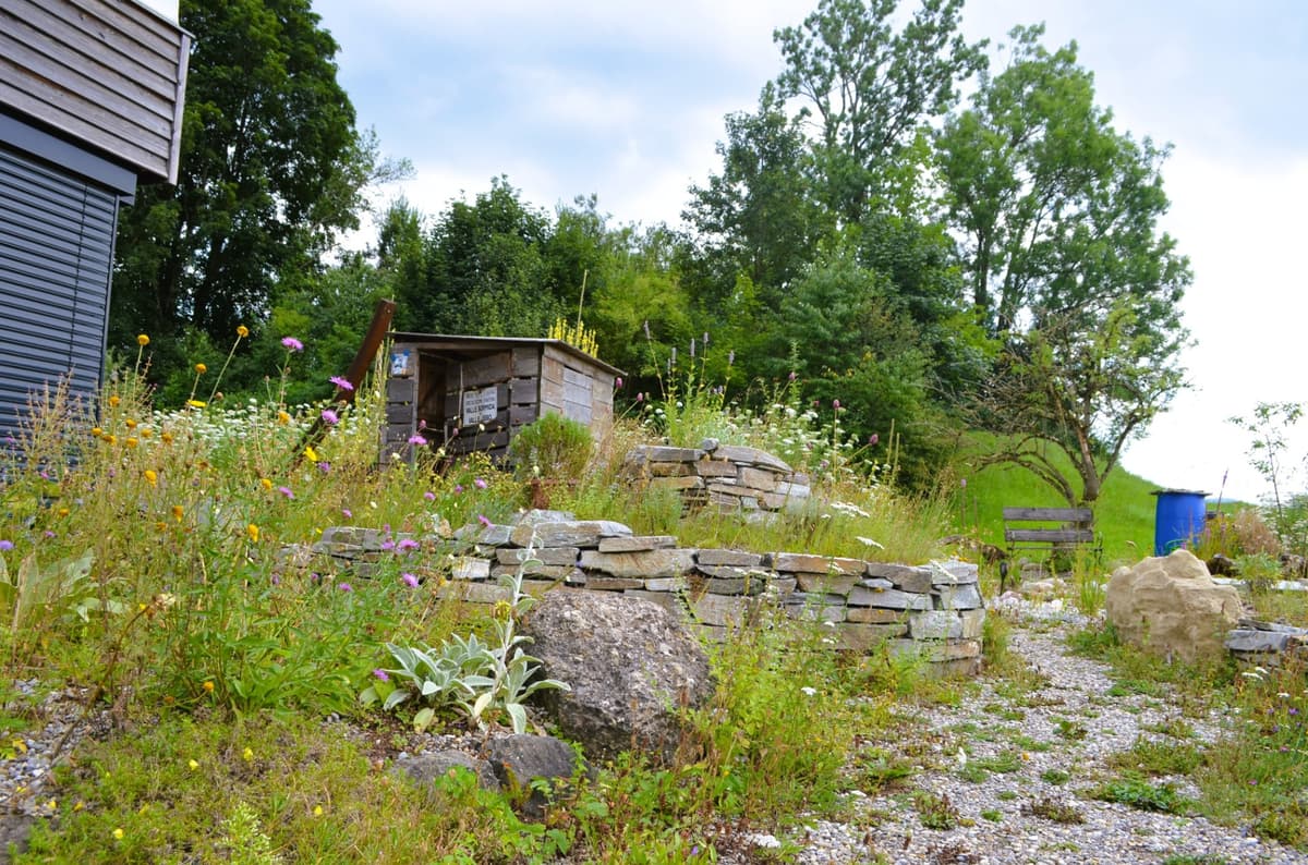 Selbstversorger-Naturgarten - Bild 15