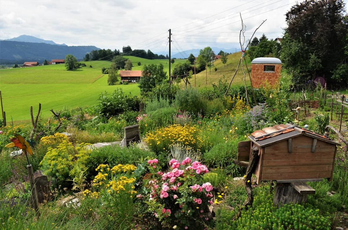 Permakultur-Selbstversorger Garten - Bild 16