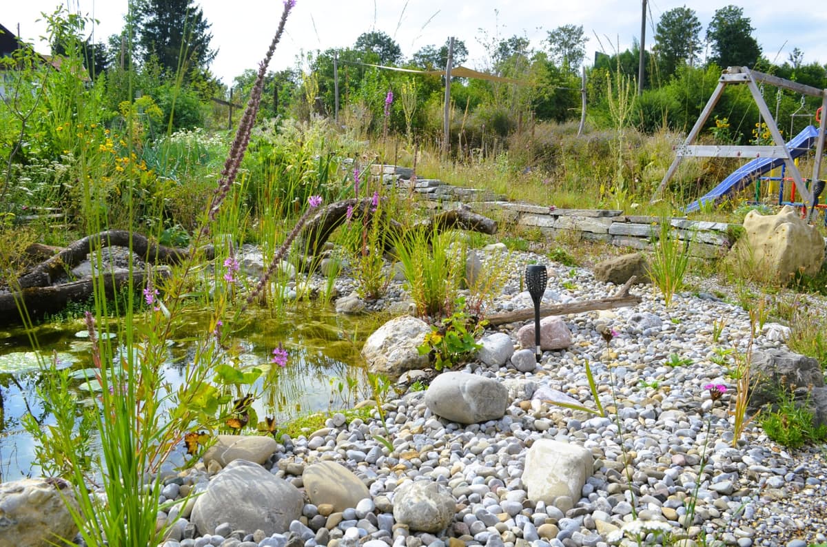 Selbstversorger-Naturgarten - Bild 17