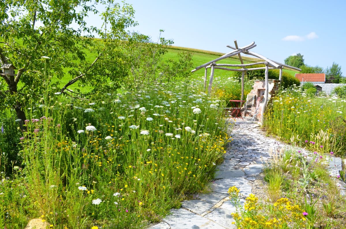 Natur- und Landschaftsgarten - Bild 17