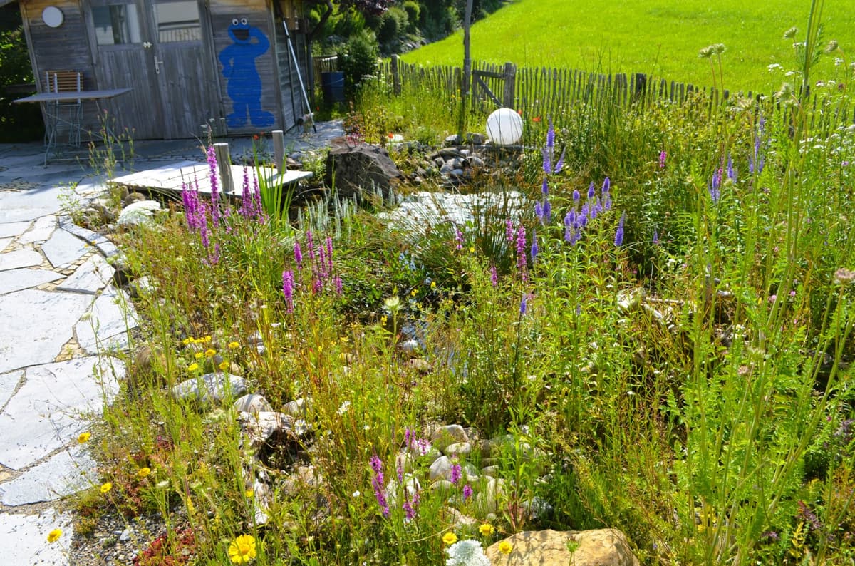 Natur- und Landschaftsgarten - Bild 18