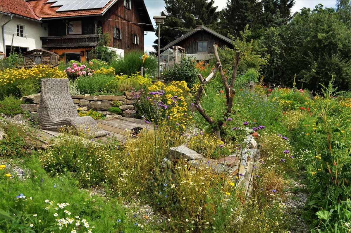 Permakultur-Selbstversorger Garten - Bild 18