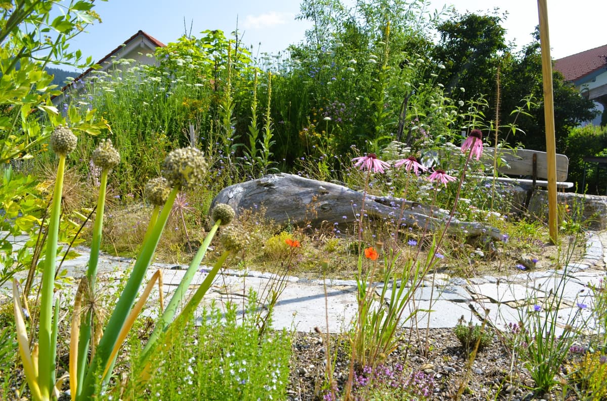 Natur- und Landschaftsgarten - Bild 19
