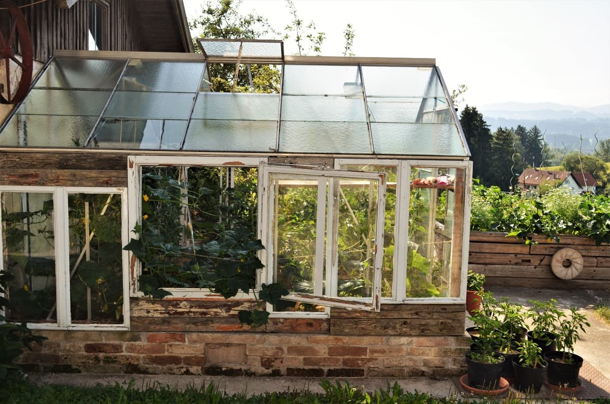 Permakultur-Selbstversorger Garten - Bild 19