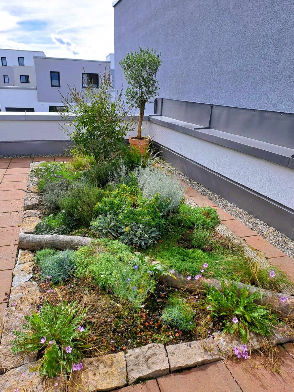 Oase der Vielfalt - Bild 2