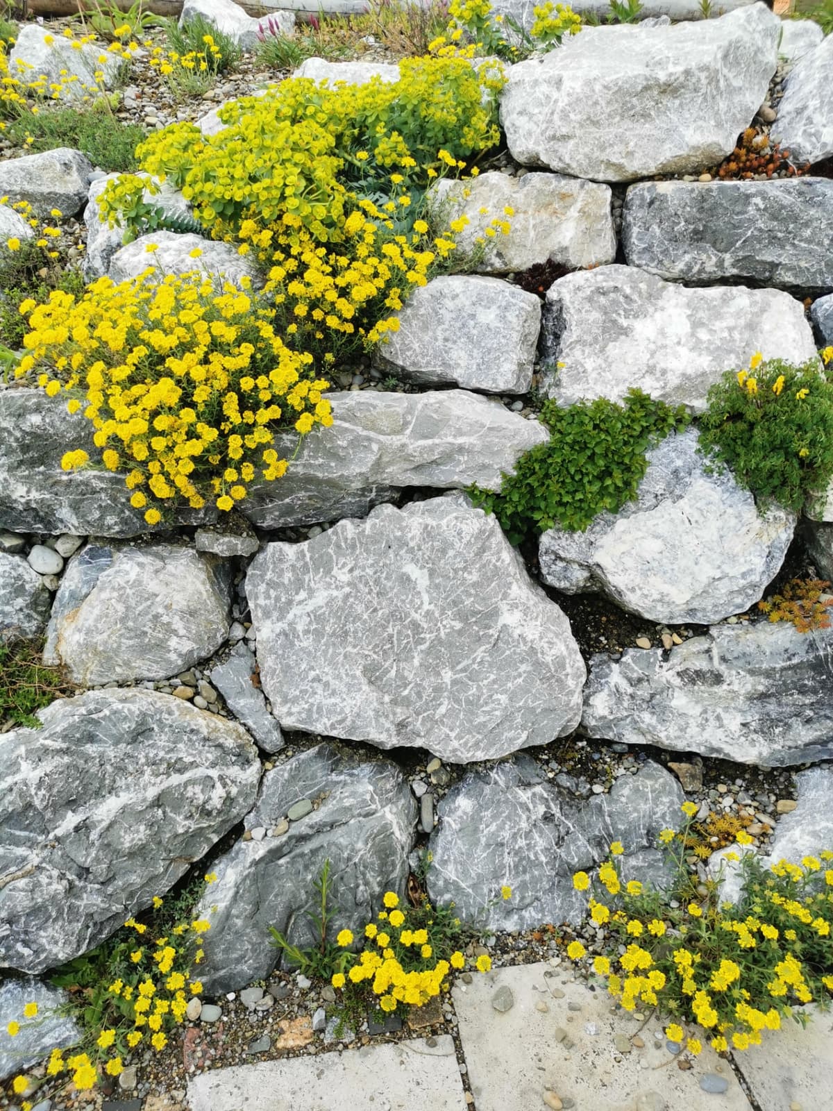 Natur-Paradies - Bild 20