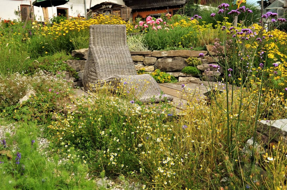 Permakultur-Selbstversorger Garten - Bild 20