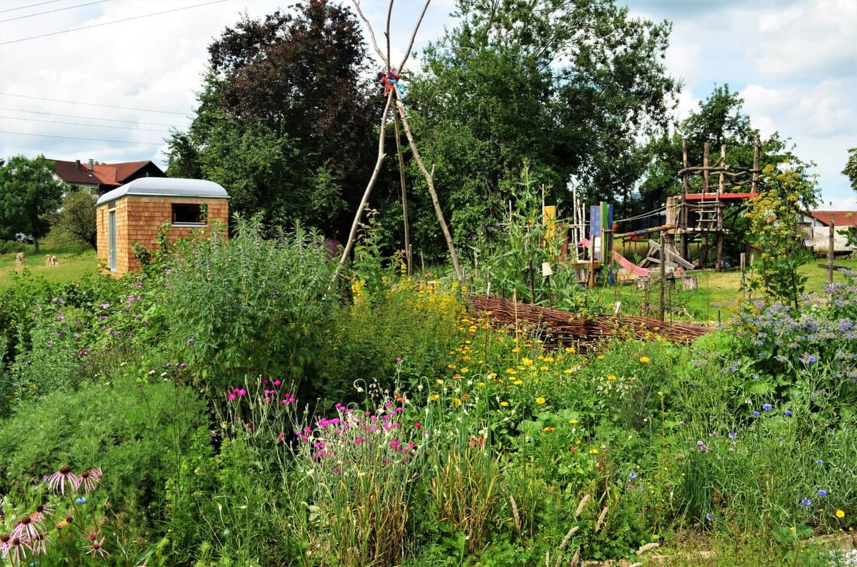 Permakultur-Selbstversorger Garten - Bild 22