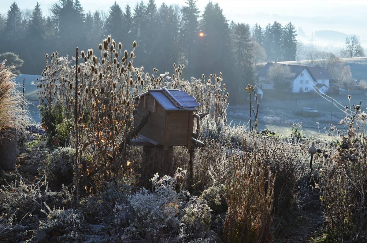 Permakultur-Selbstversorger Garten - Bild 23