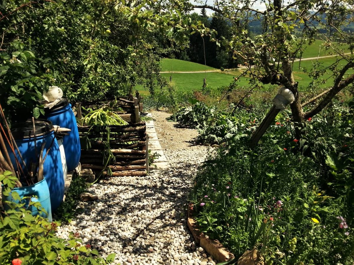 Permakultur-Selbstversorger Garten - Bild 28