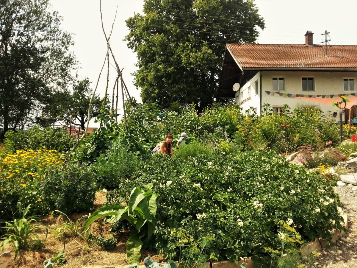 Permakultur-Selbstversorger Garten - Bild 29