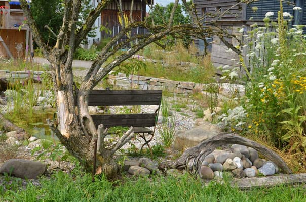 Selbstversorger-Naturgarten - Bild 3