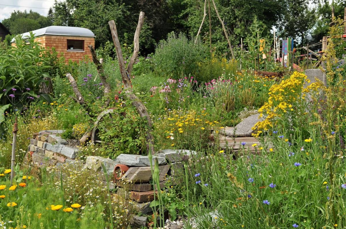 Permakultur-Selbstversorger Garten - Bild 5