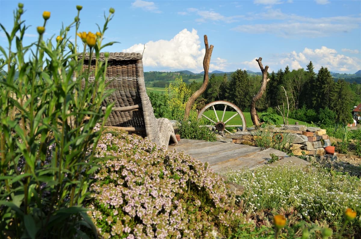 Permakultur-Selbstversorger Garten - Bild 6