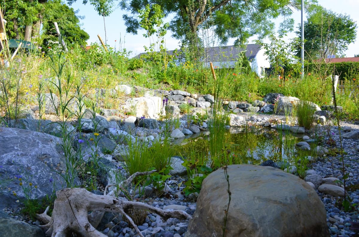 Natur-Paradies - Bild 6
