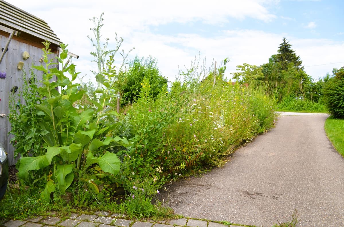 Selbstversorger-Naturgarten - Bild 8