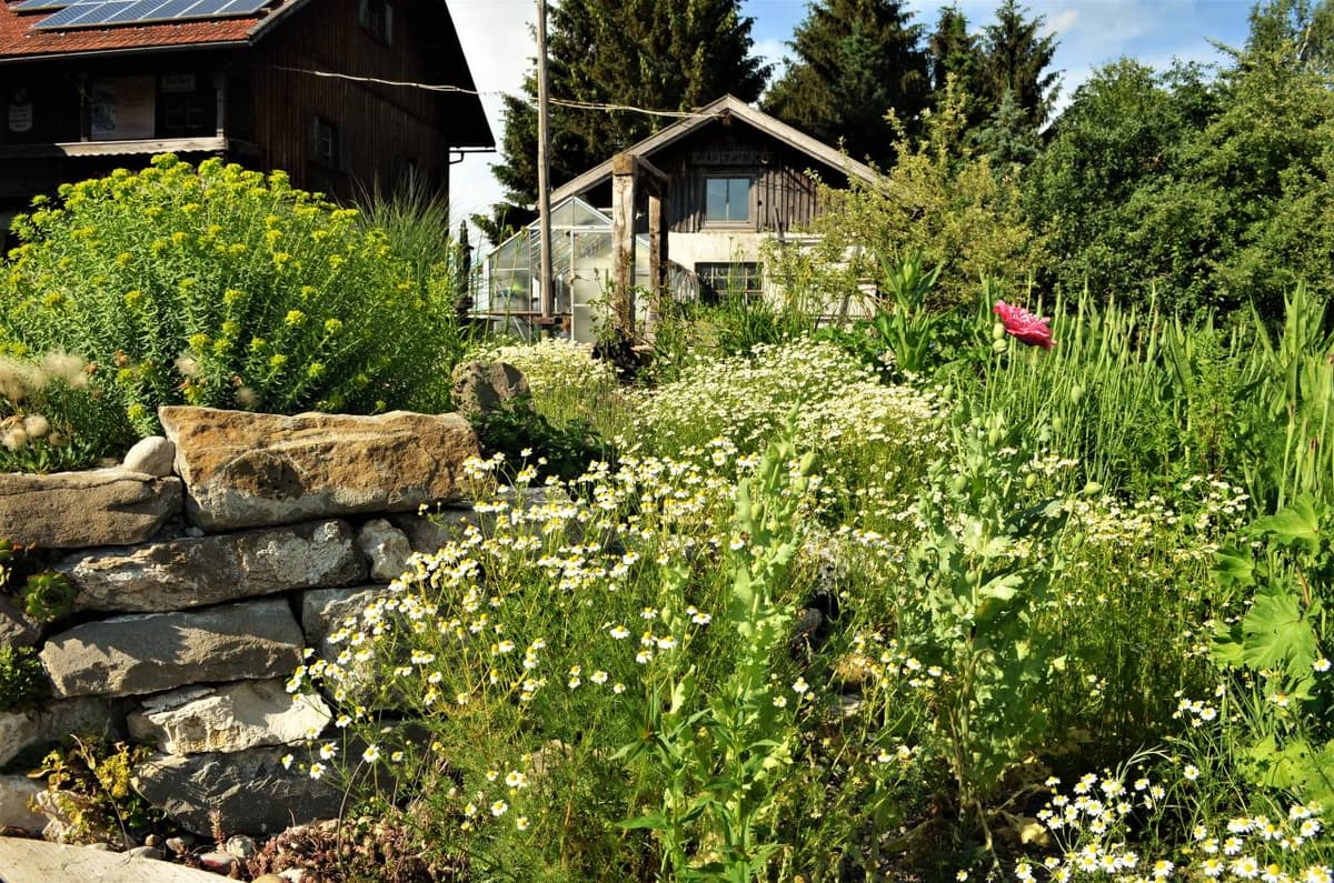 Permakultur-Selbstversorger Garten - Bild 9