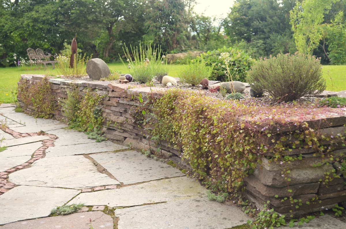 Landschaftsgarten zum Entspannen - Bild 9