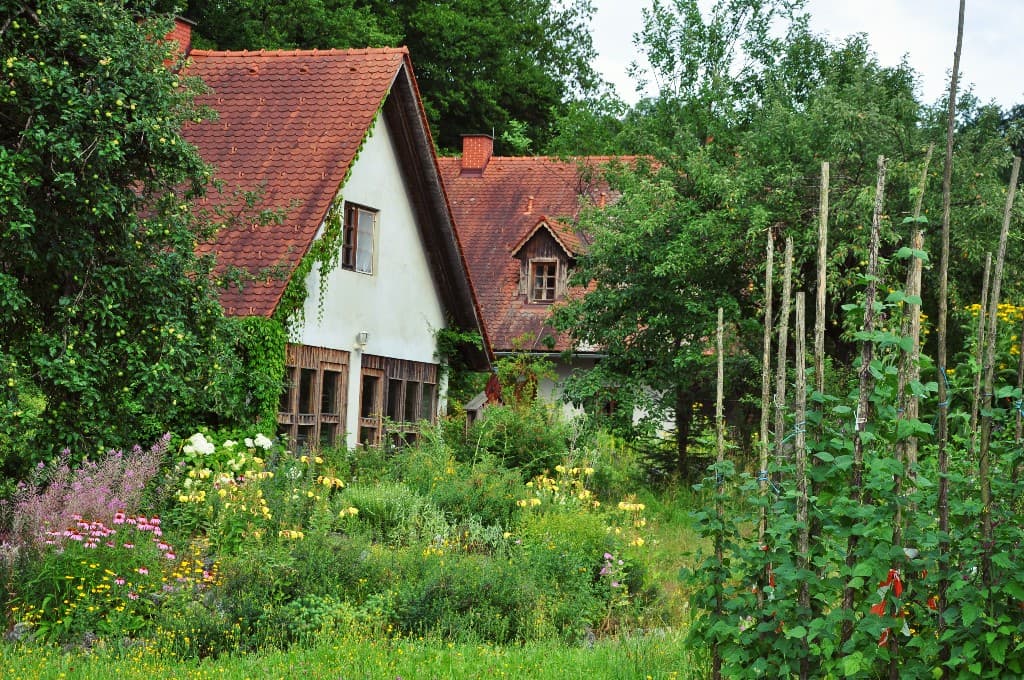 Naturgarten mit heimischen Pflanzen