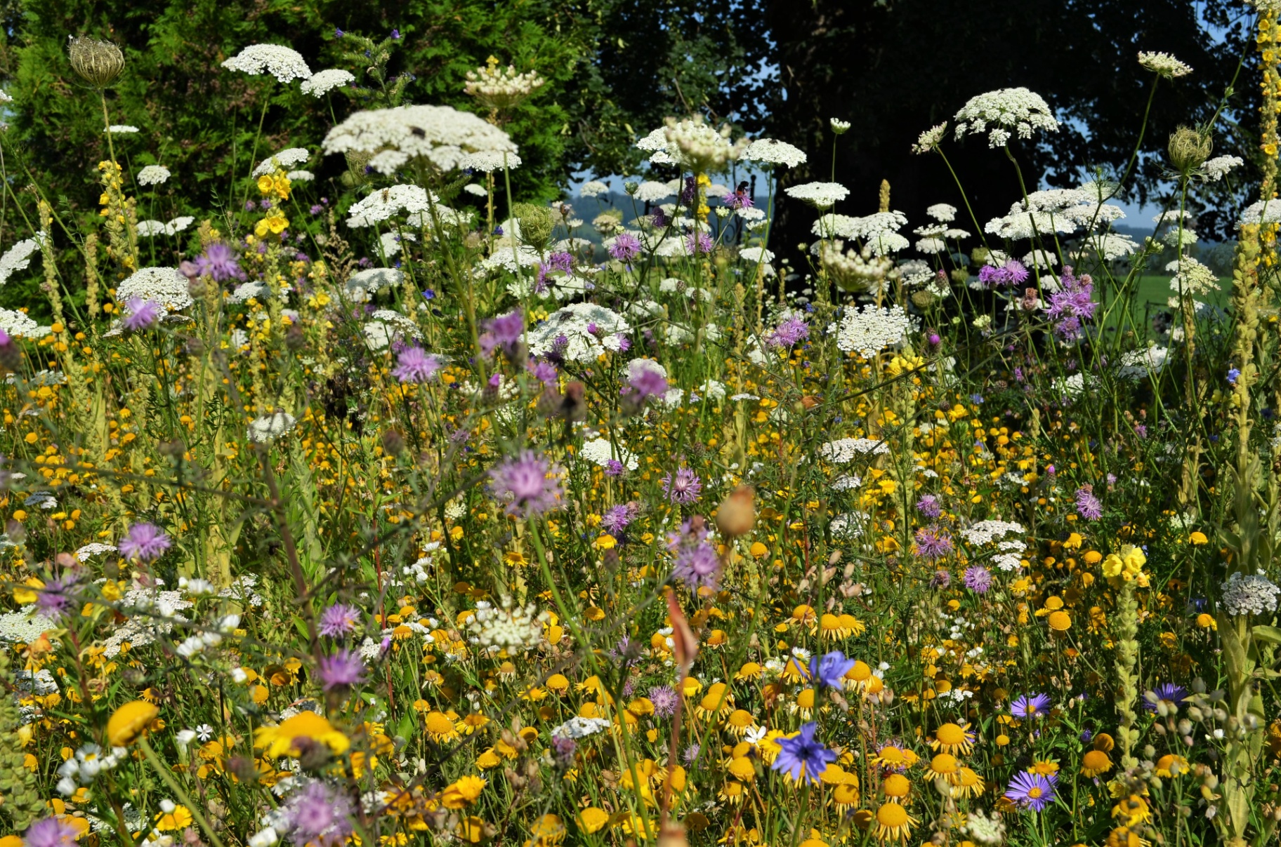Gartencoaching