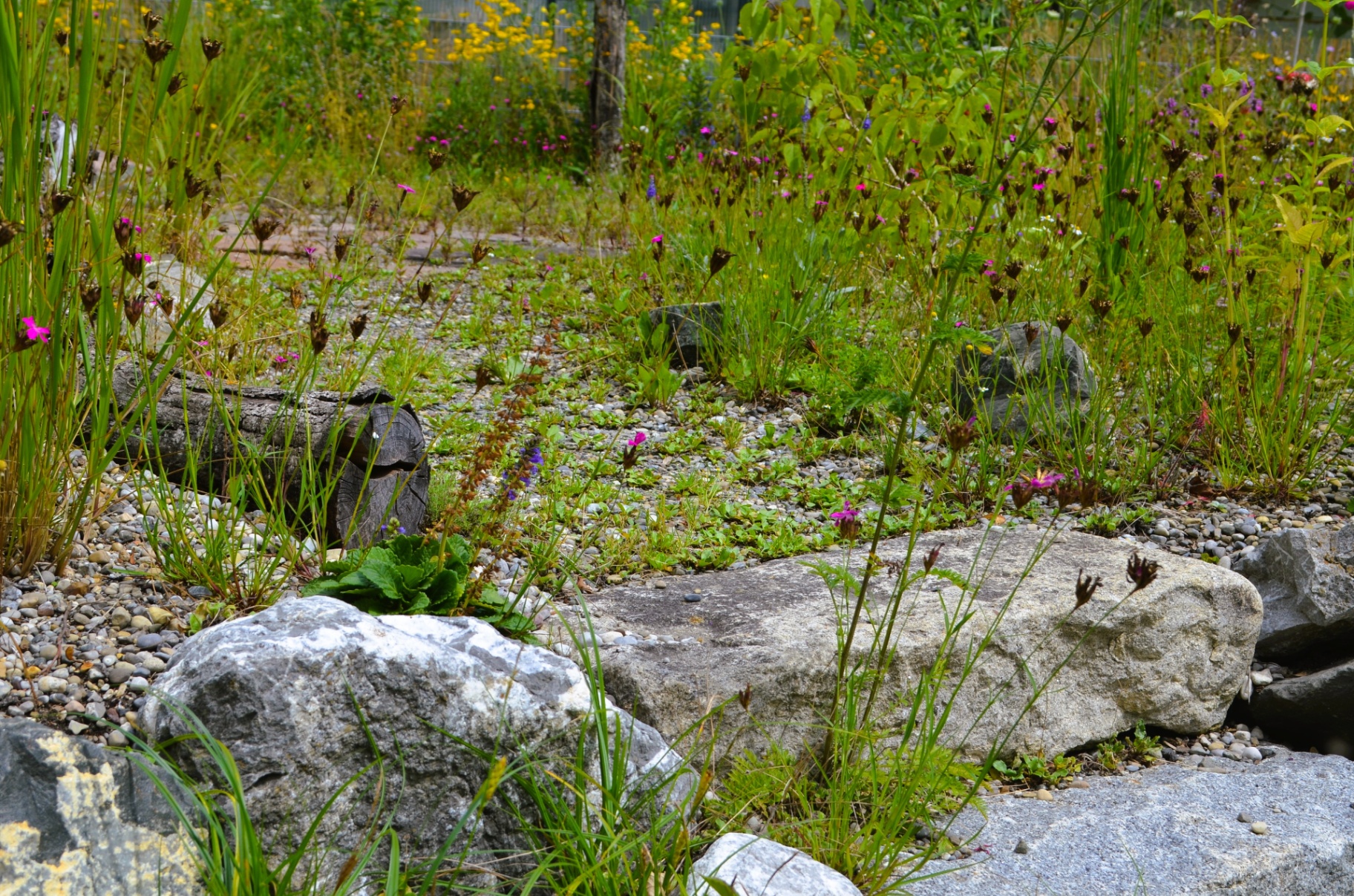 Ruhe und Erlebnis-Oase - Bild 11