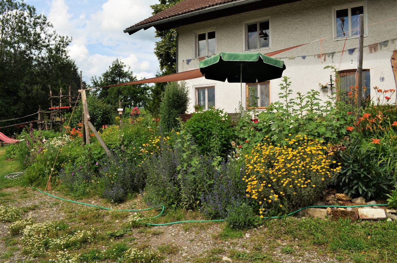 Permakultur-Selbstversorger Garten - Bild 14