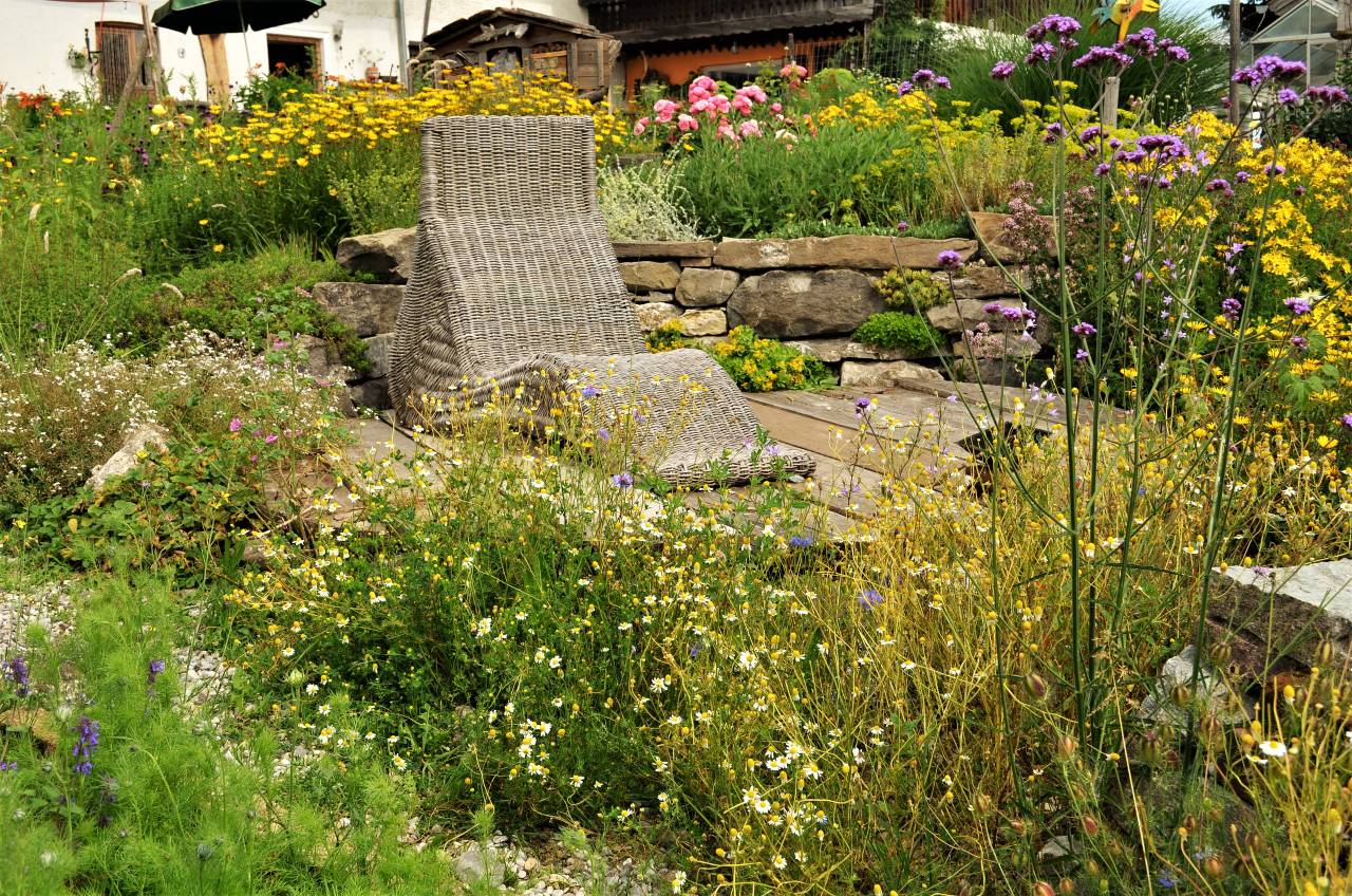 Permakultur-Selbstversorger Garten - Bild 20