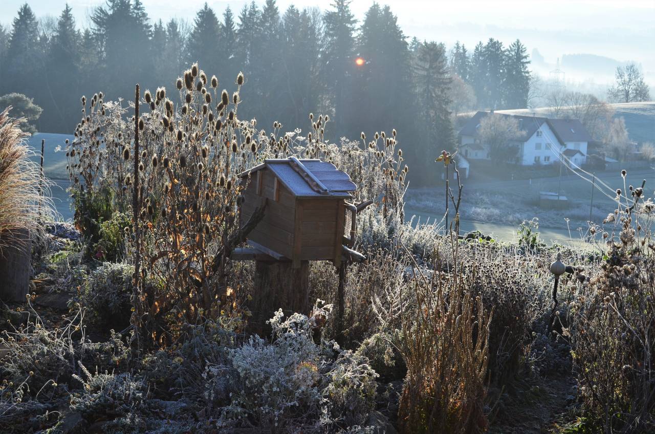 Permakultur-Selbstversorger Garten - Bild 23